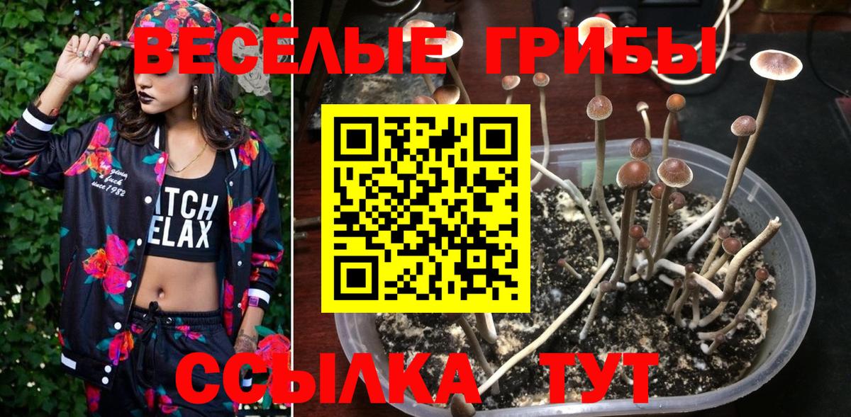 Галлюциногенные грибы ЛСД  Галлюциногенные грибы Cubensis  Вход с VPN  Севастополь 